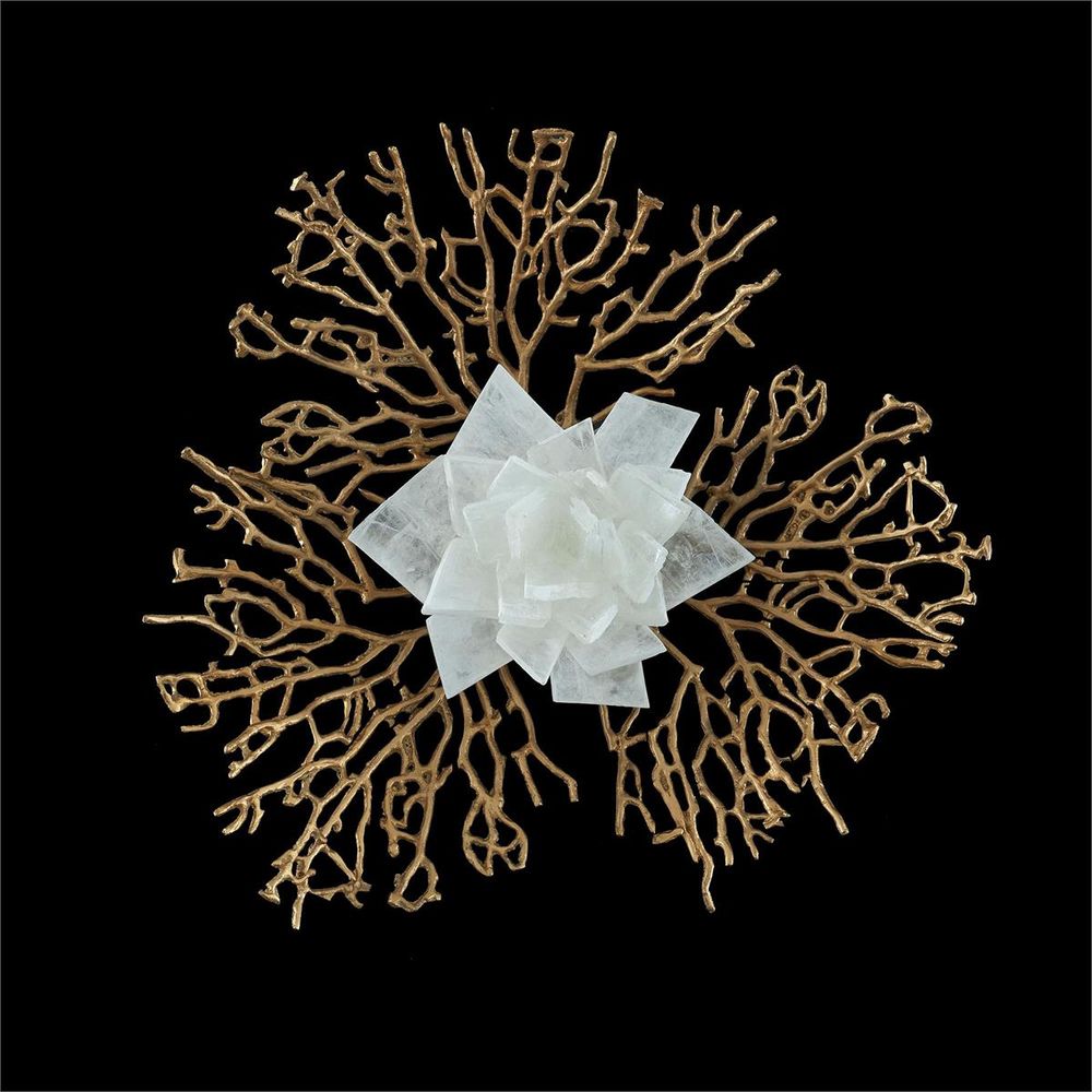  Stone Flora Wall Sconce, Brass