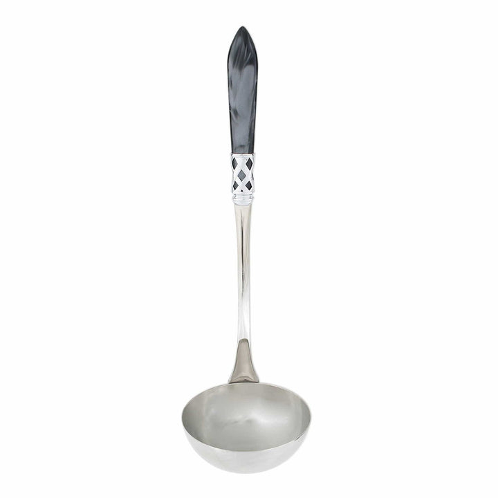 Aladdin Soup Ladle - Charcoal / Brilliant