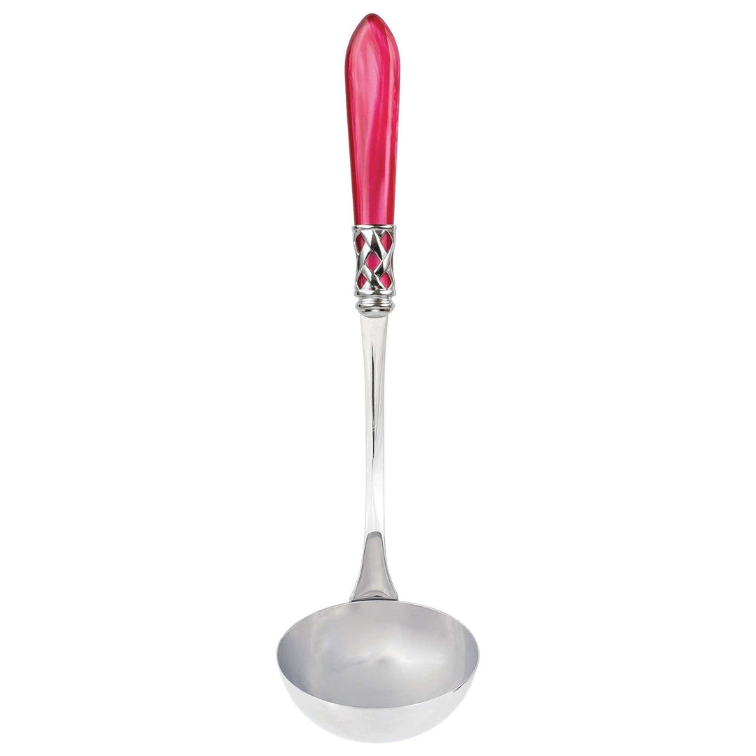 Aladdin Soup Ladle - Raspberry / Brilliant