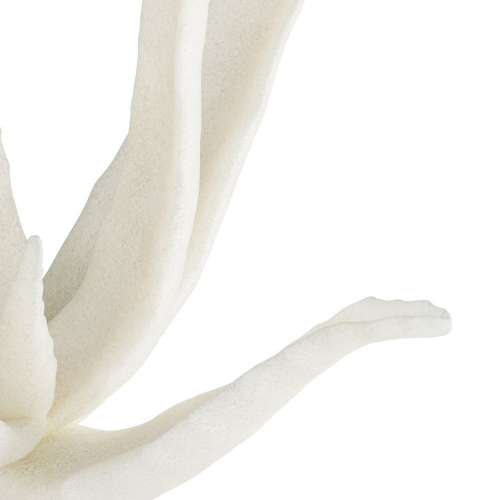 Decorative Objects Drayen Sculpture - White