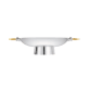 Silver-Plated Centerpiece with Gilded Handles Bowl
