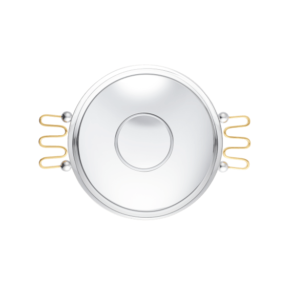 Silver-Plated Centerpiece with Gilded Handles Bowl