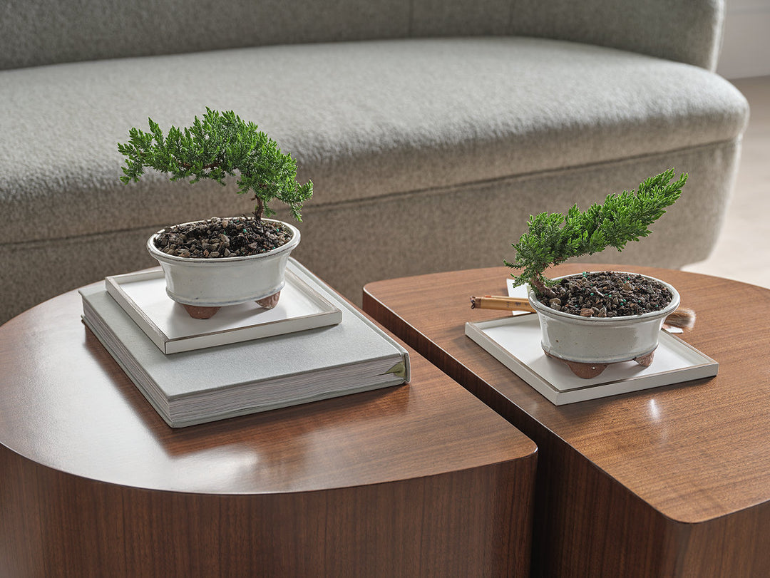 Budding Cocktail Table