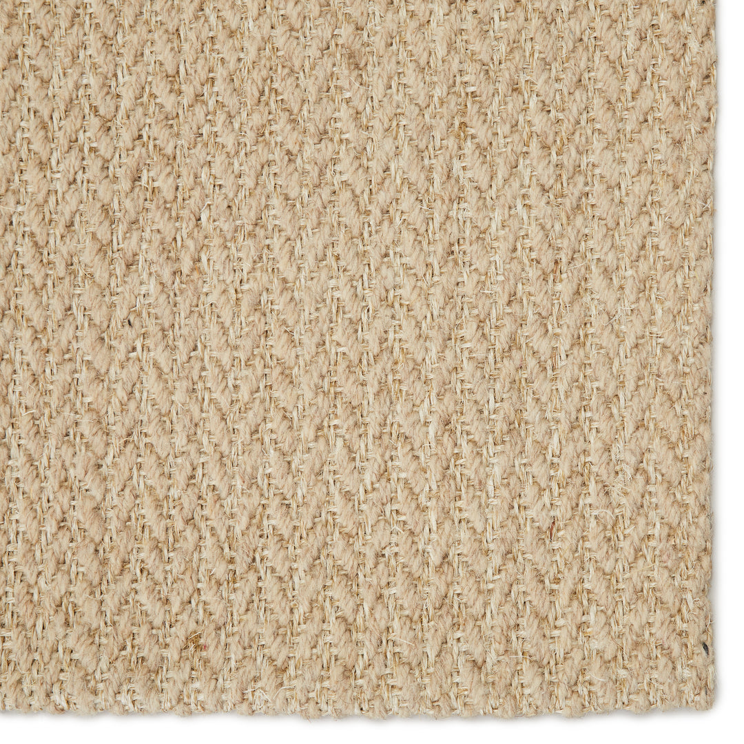 Jaipur Living Emere Natural Solid Beige Area Rug (6'X9')