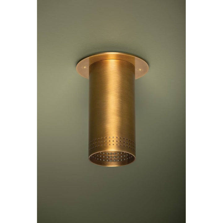 Flush Mounts Berg Flush Mount - Patina Brass