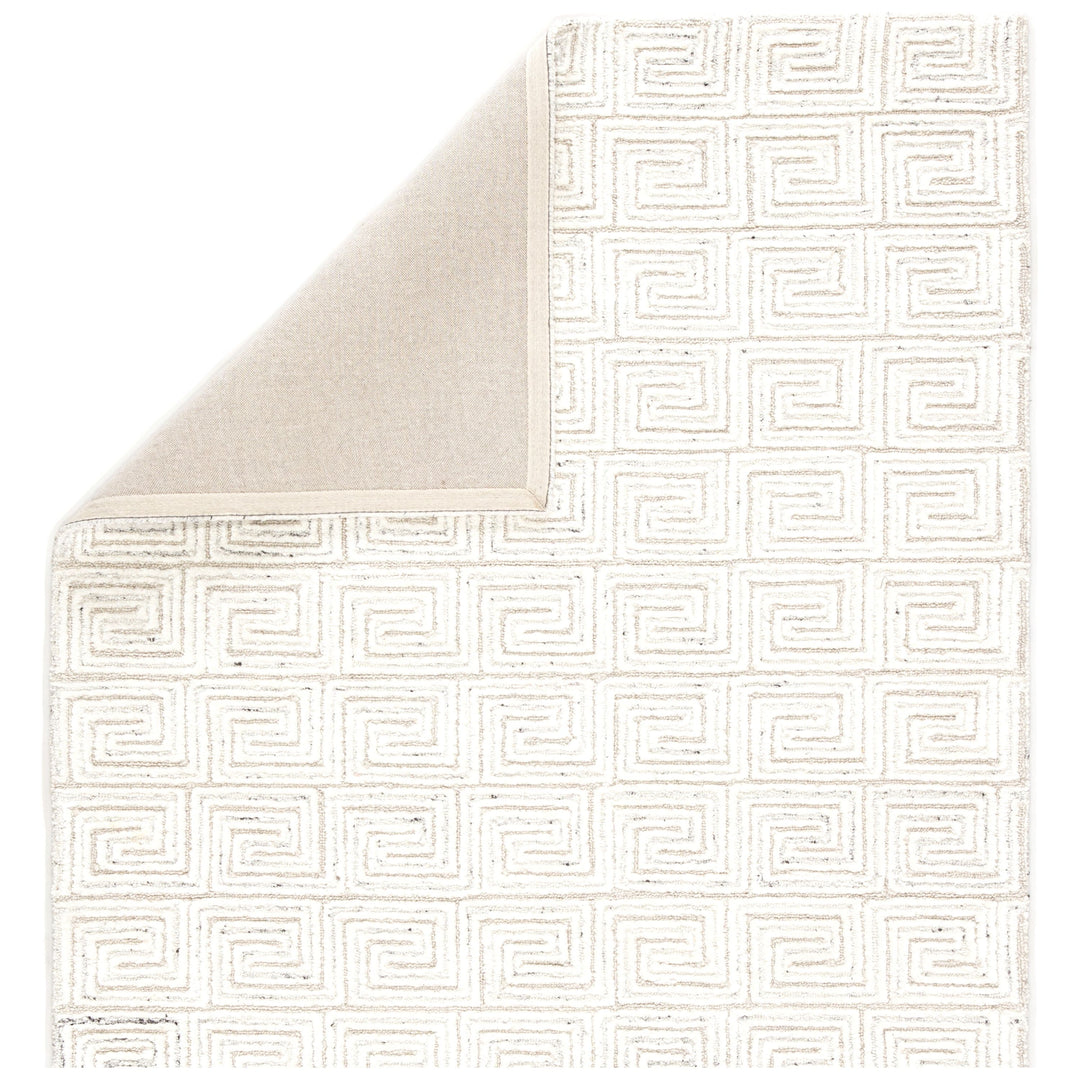 Jaipur Living Harkness Handmade Geometric White/ Gray Area Rug (9'X13')