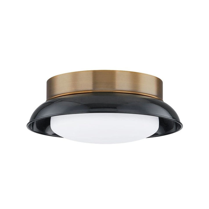 Arnie 2 Light Flush Mount-Troy Lighting-TROY-C2014-PBR/GBK-Flush MountsGold Black-1-France and Son