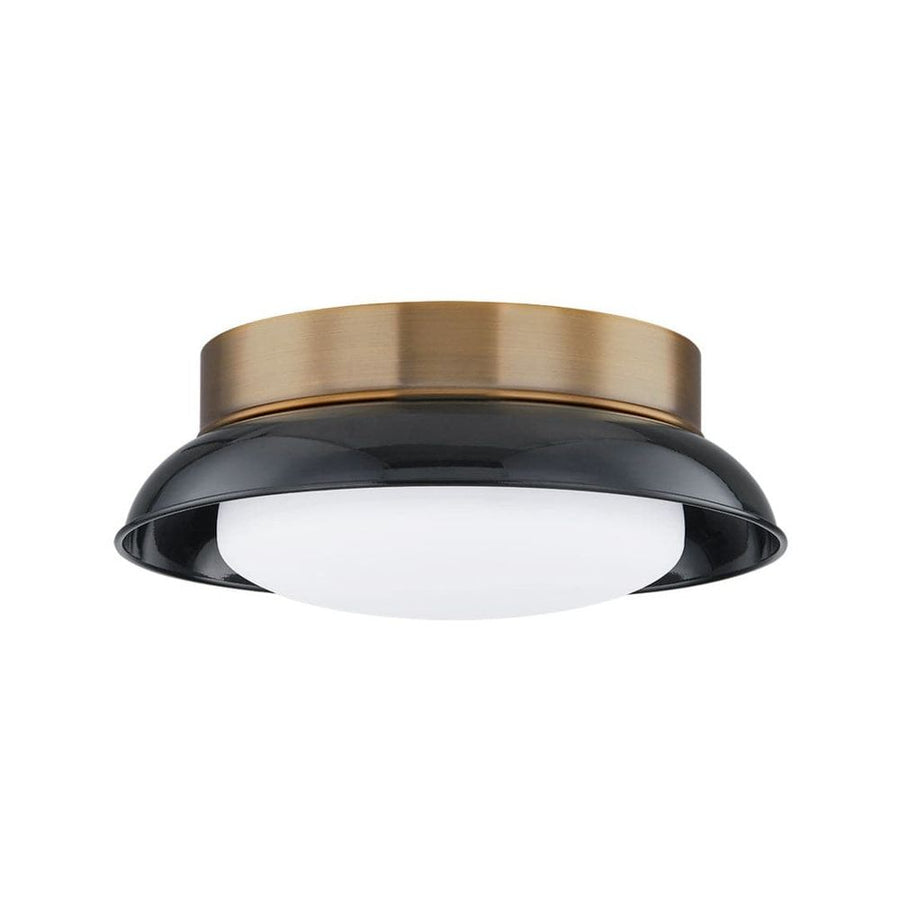 Arnie 2 Light Flush Mount-Troy Lighting-TROY-C2014-PBR/GBK-Flush MountsGold Black-1-France and Son