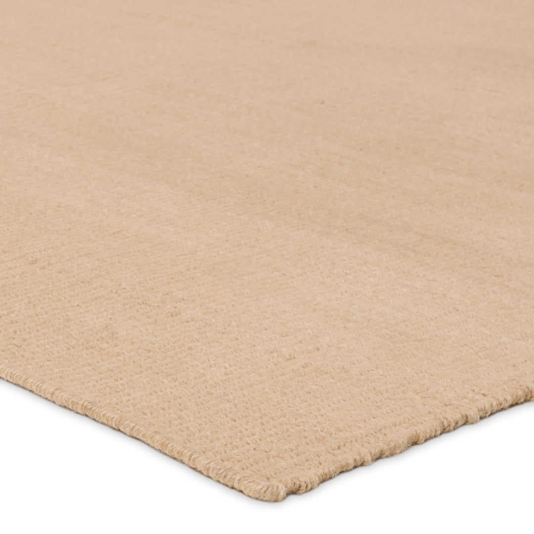 Jaipur Living Cordova Handmade Indoor/Outdoor Solid Tan Area Rug (9'X12')