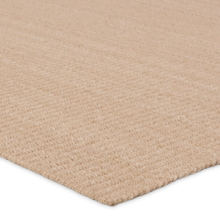 Jaipur Living Facet Handmade Indoor/Outdoor Solid Tan Area Rug (4'X6')