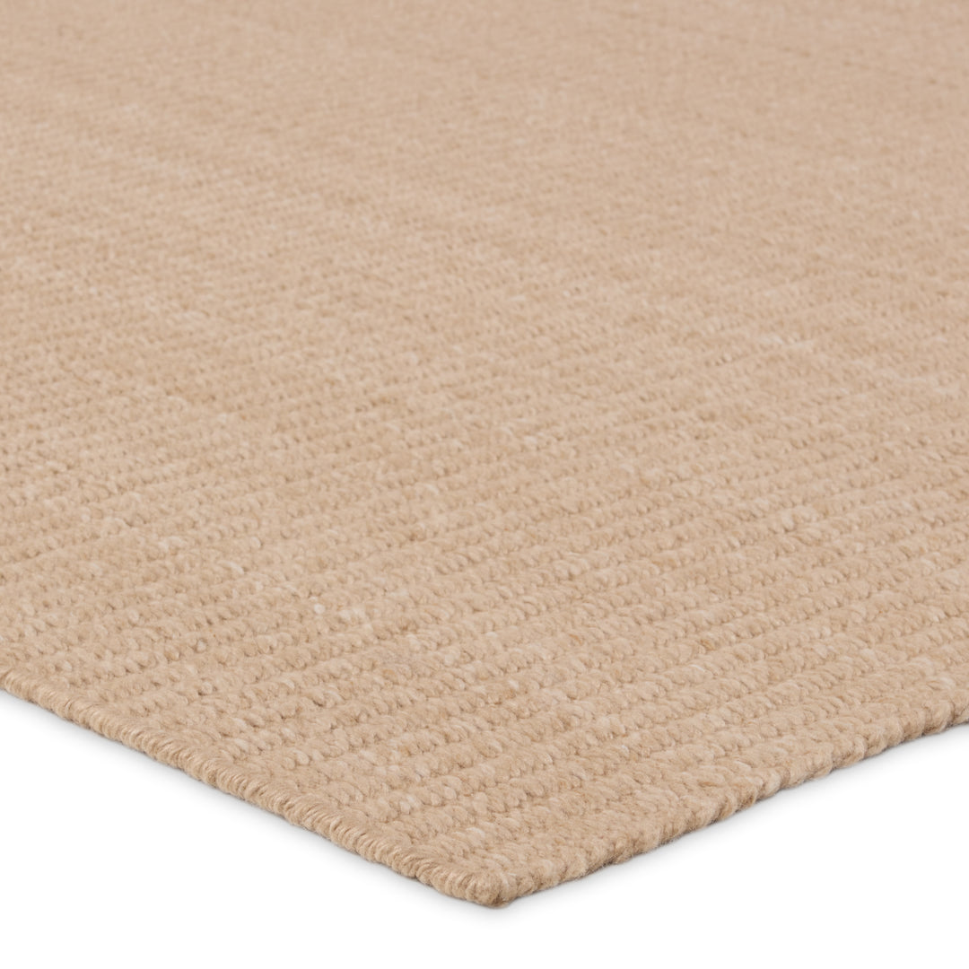 Jaipur Living Facet Handmade Indoor/Outdoor Solid Tan Area Rug (5'X8')