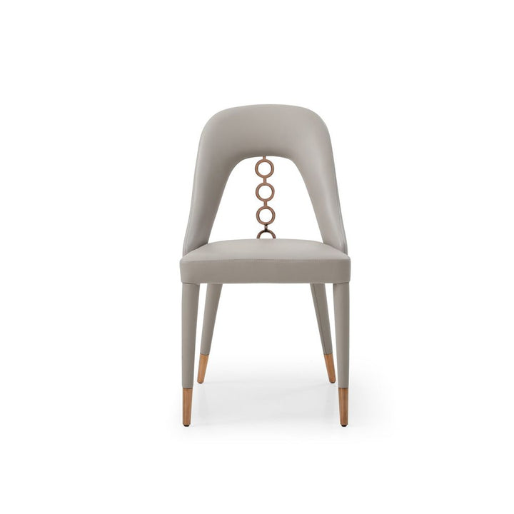Liza Dining Chair Set of 2