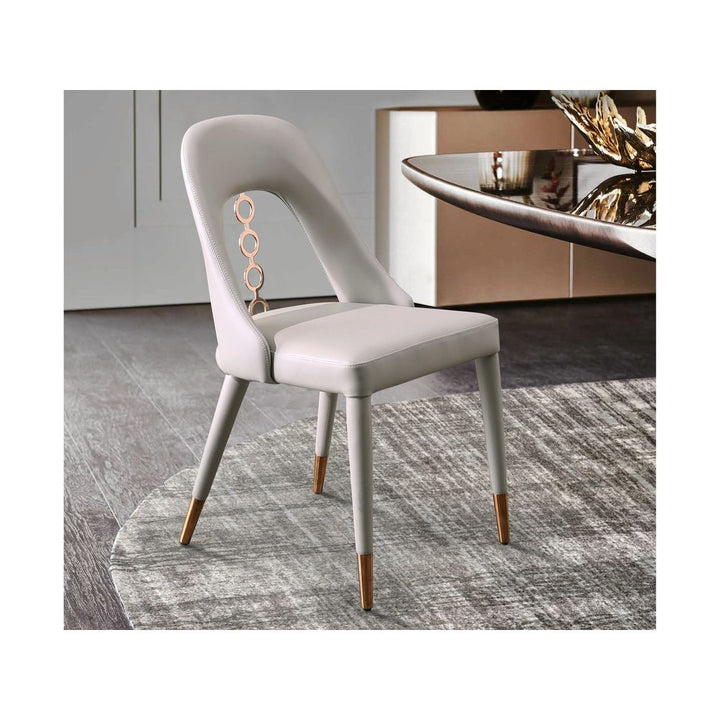Liza Dining Chair Set of 2