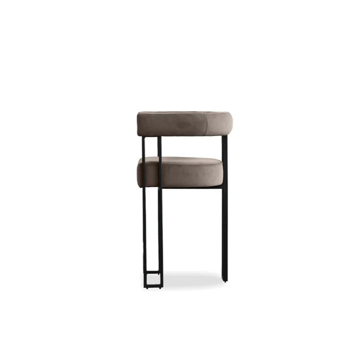 Bar & Counter Stools Parah Counter Stool Bruna