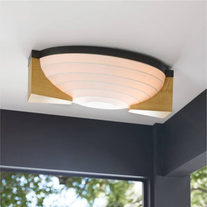 Flush Mounts Eisenhart Flush Mount - Black