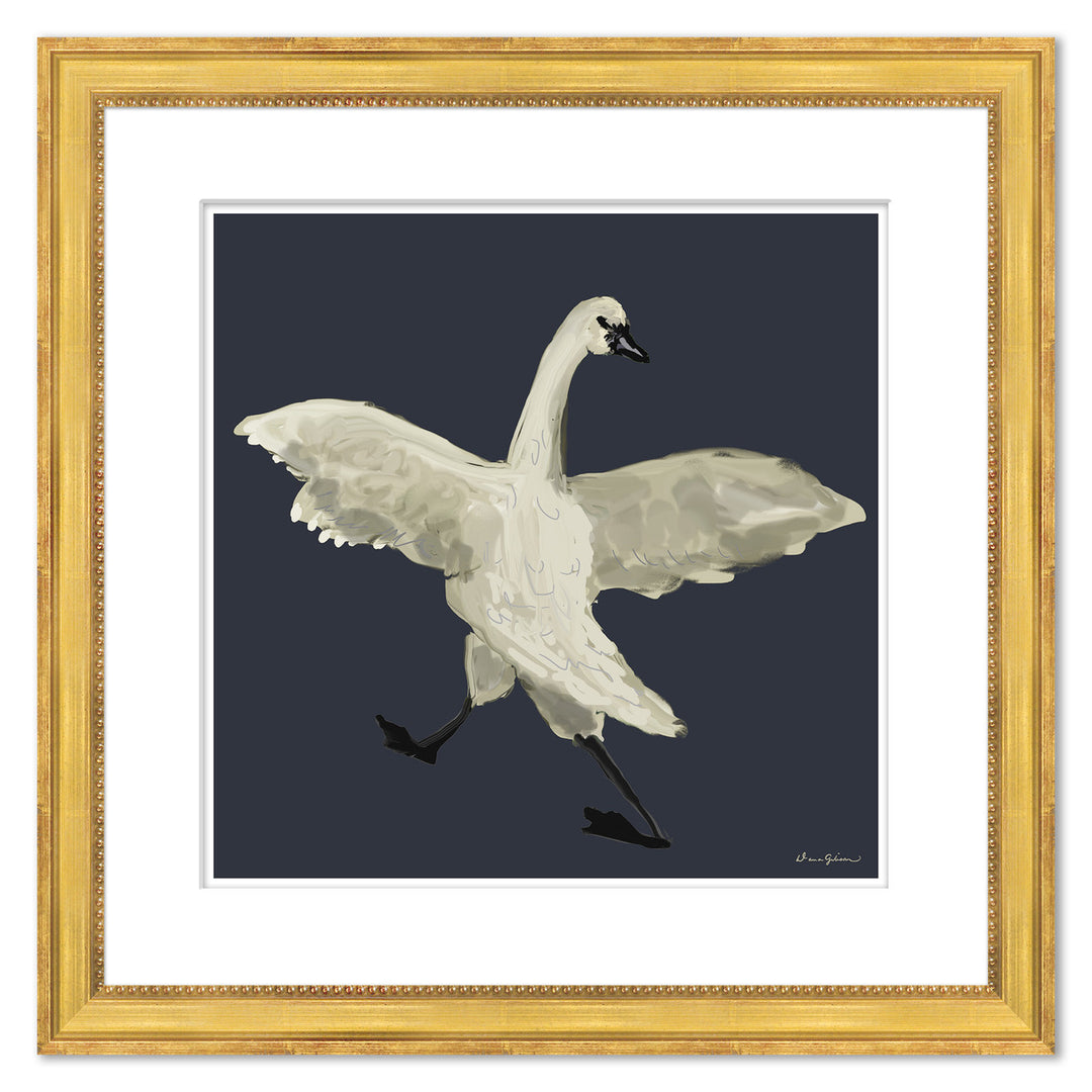 Swan Coy by Soicher Marin