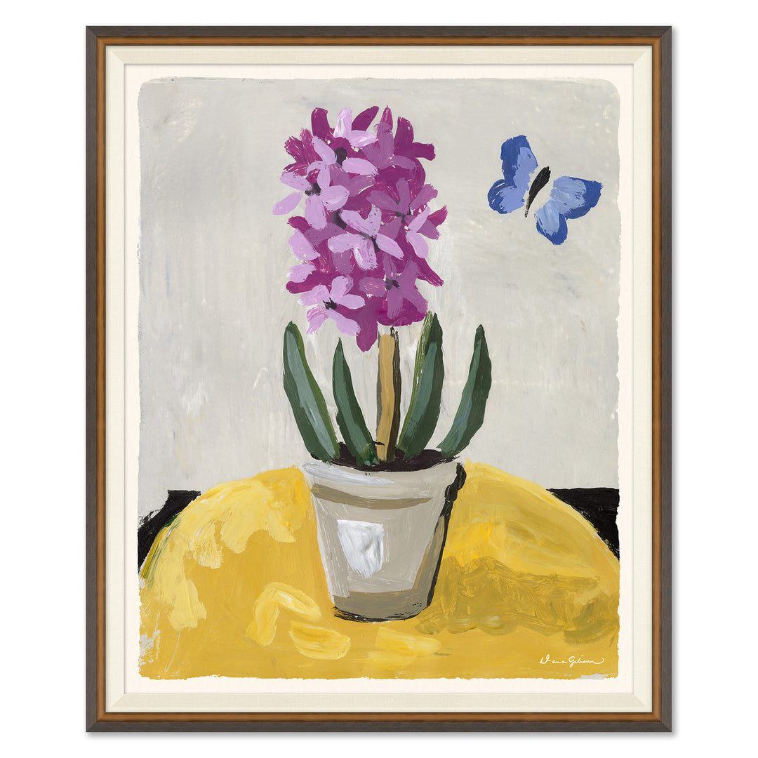 Pink Hyacinth by Soicher Marin