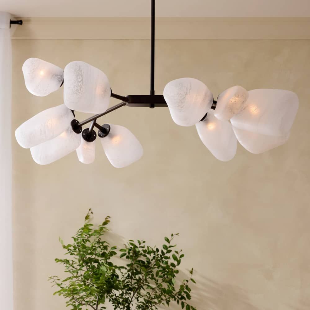 Chandeliers Phoenix Chandelier - Black