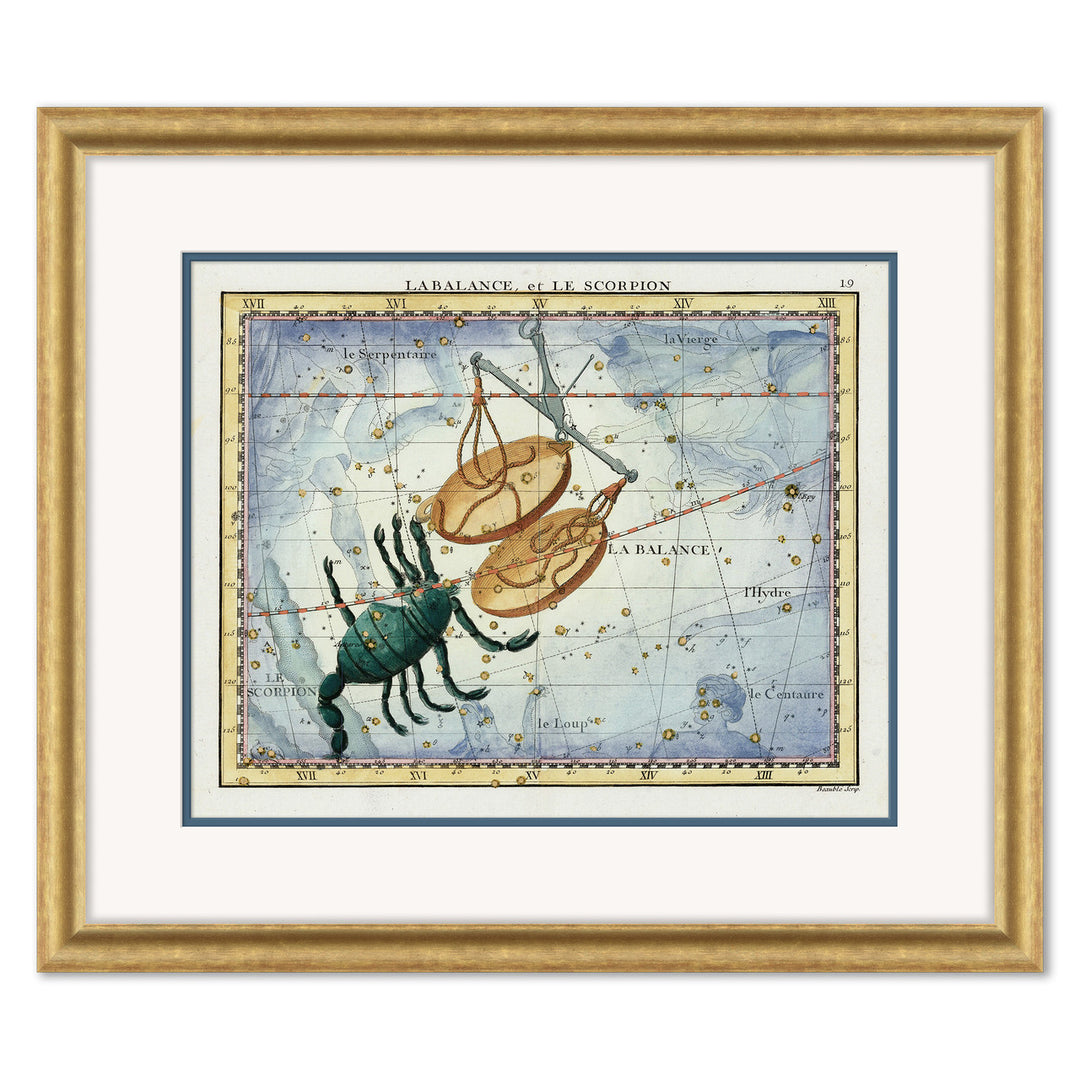 Scorpio by Soicher Marin