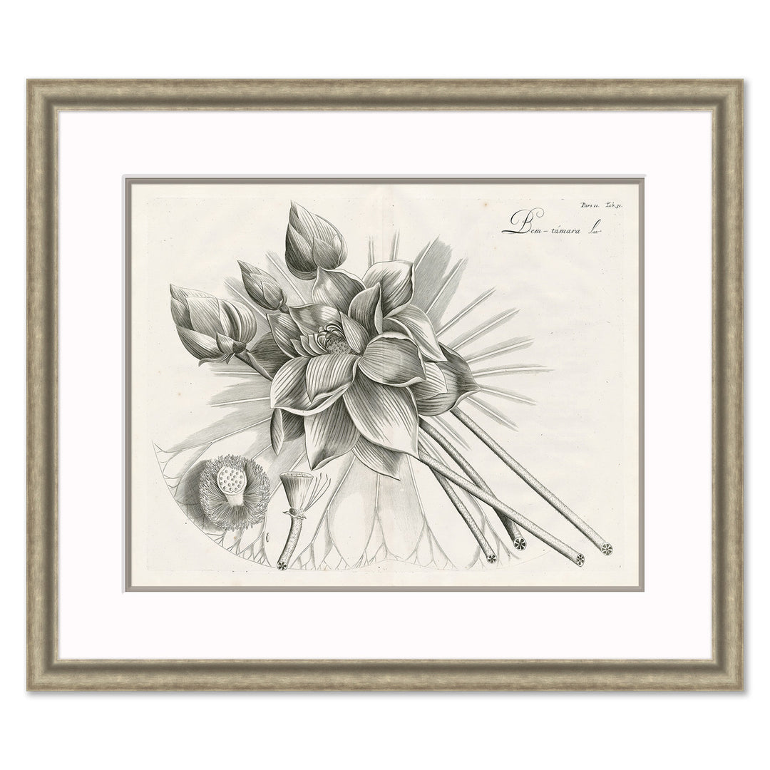 Malaberica Etching IV by Soicher Marin