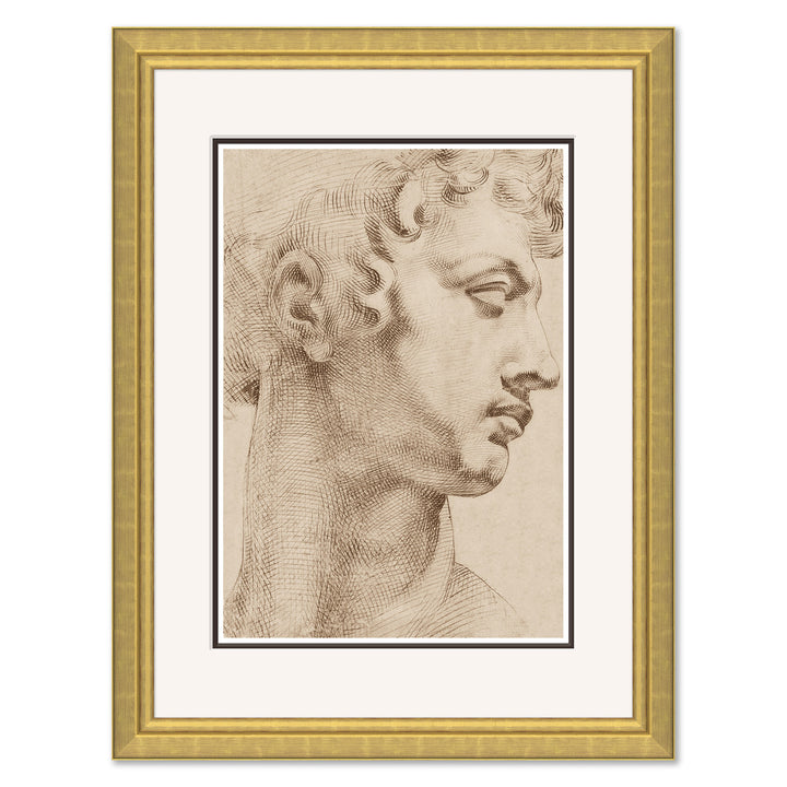 Michelangelo by Soicher Marin