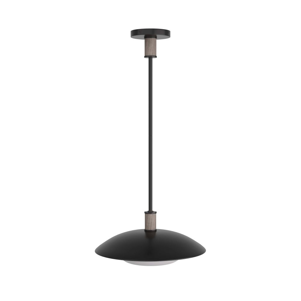 Pendants Clarity Pendant - Black