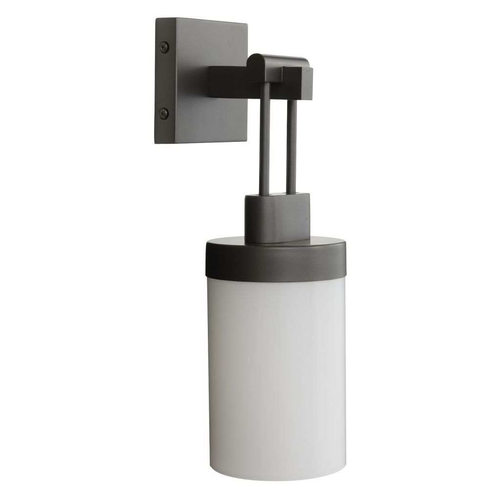 Outdoor Lighting Sunny Outdoor Sconce - Gray
