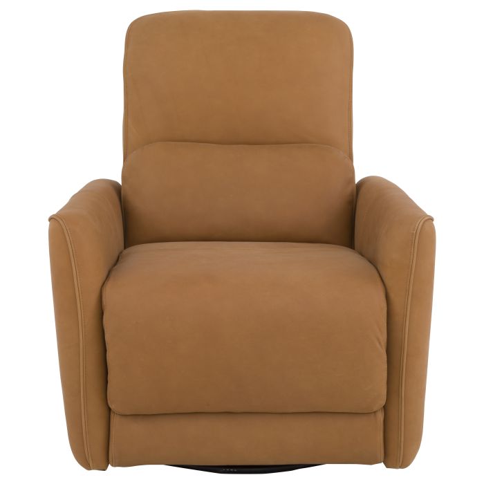 Dane Power Recliner