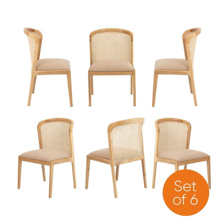 Dining Chairs Elbie Cane Dining Side Chair - Set of 6