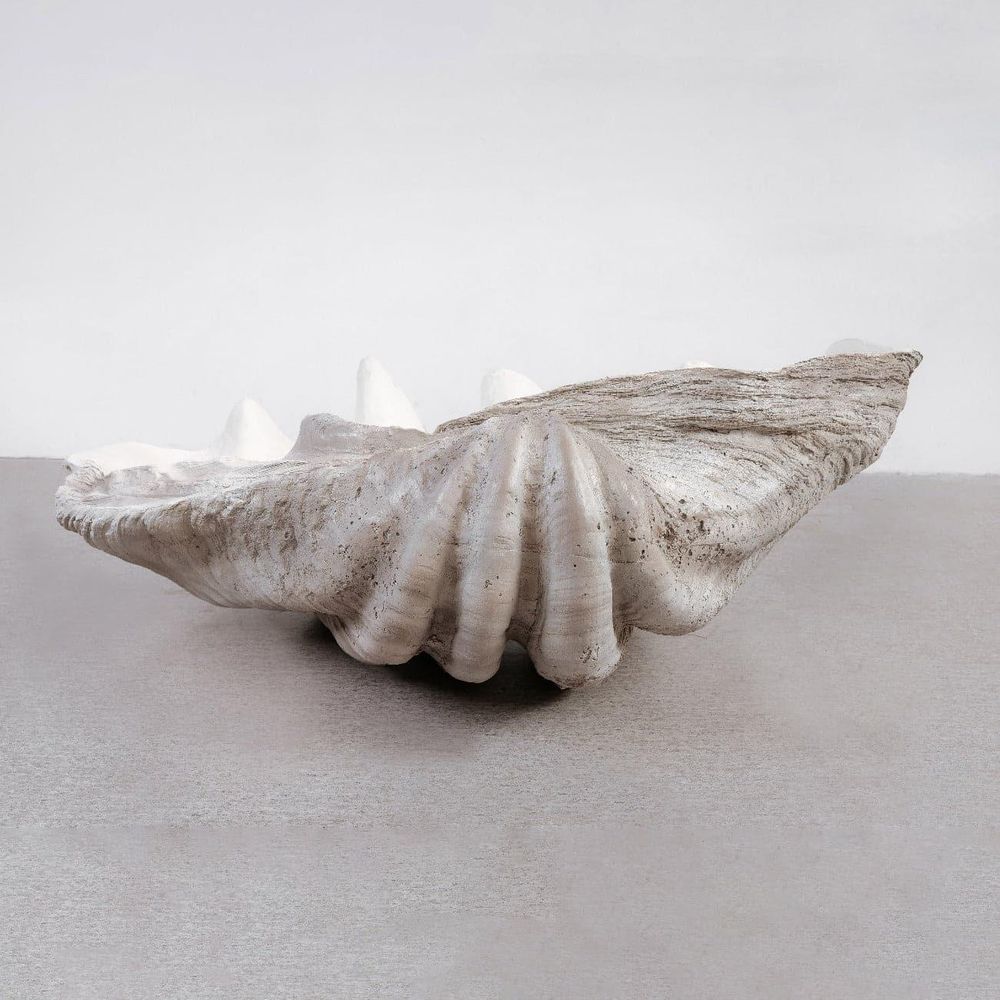 Neptune's Shell Tray-France & Son-FL9018-Trays-6-France and Son