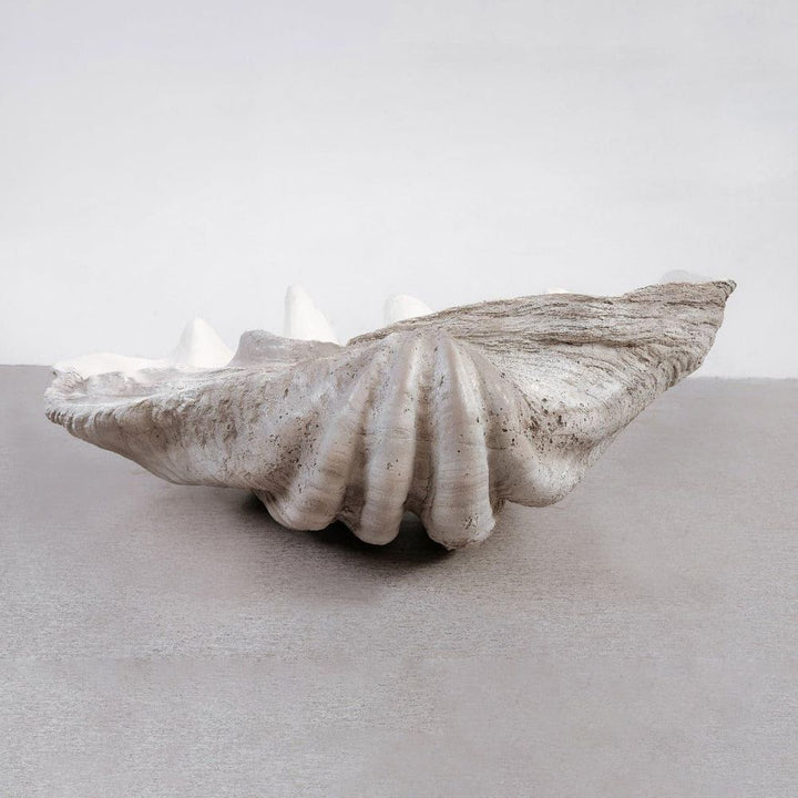 Neptune's Shell Tray-France & Son-FL9018-Trays-6-France and Son