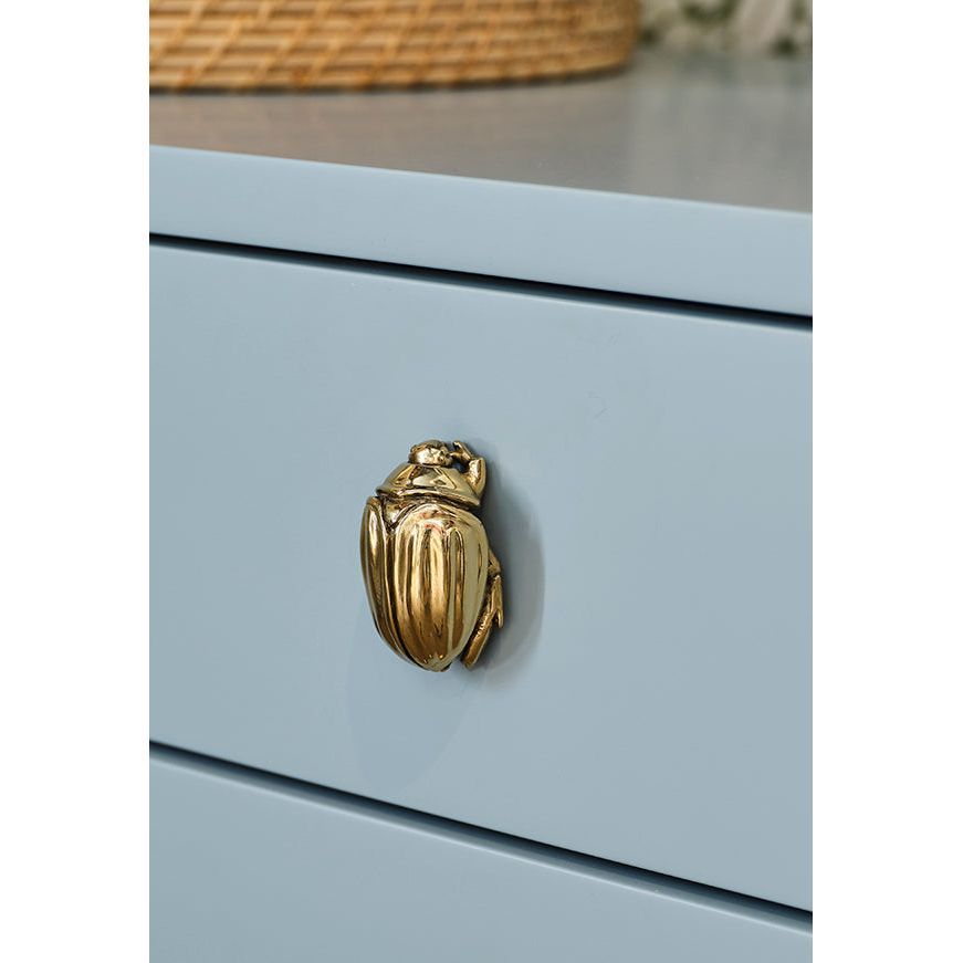 Beetle Knob In Brass