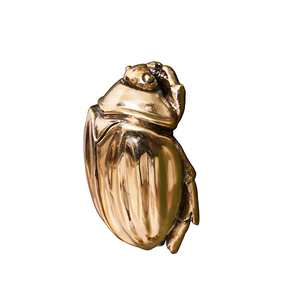 Hardware Beetle Knob In Brass