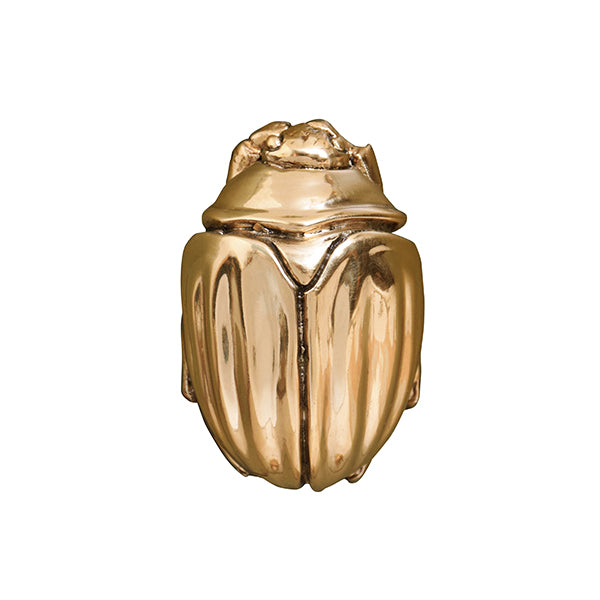 Hardware Beetle Knob In Brass