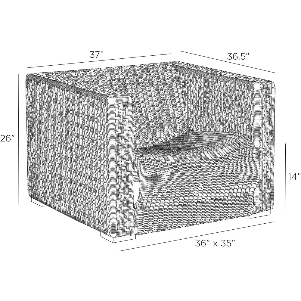 Delgado Outdoor Lounge Chair - Natural