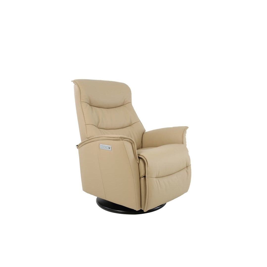 Dallas Large Power (3 Motor) Swing Relaxer-Fjords-FJORDS-575116P-229-Lounge ChairsSoft Line Leather 229 Latte-6-France and Son