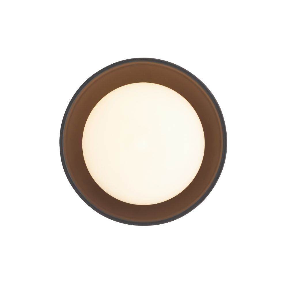 Wall Lighting Solenne Small Sconce - Black