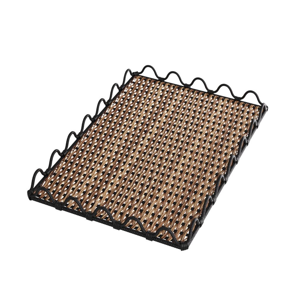 Ayelens Tray