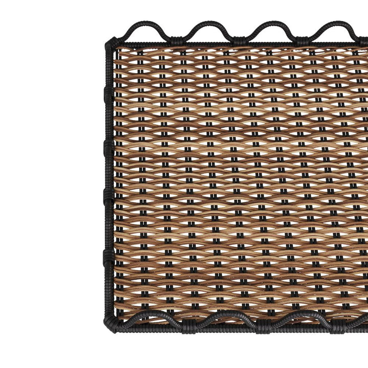 Ayelens Tray