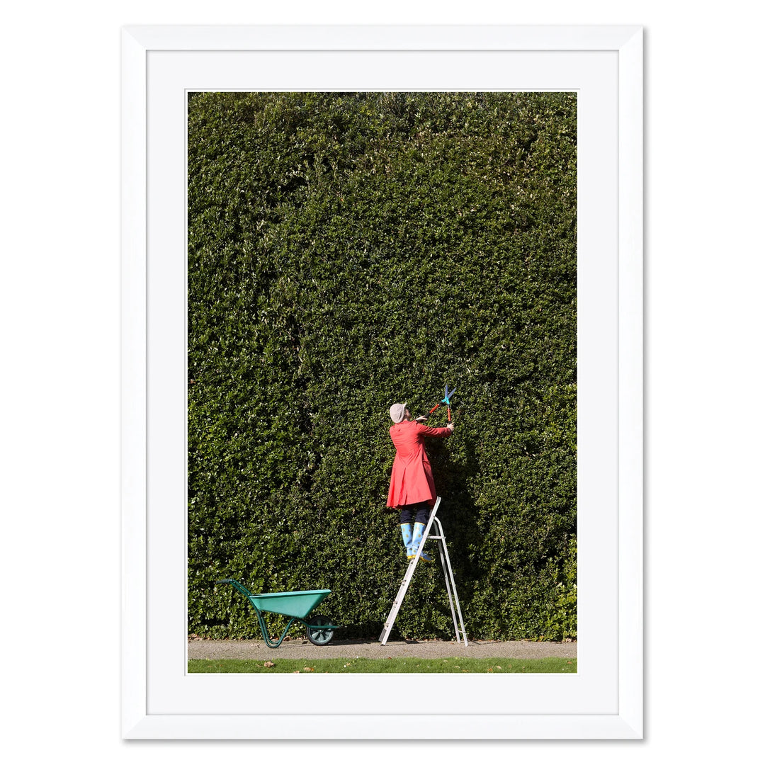 Getty Images, "Woman Cutting Large Hedge", Peter Cade, 2008 by Soicher Marin