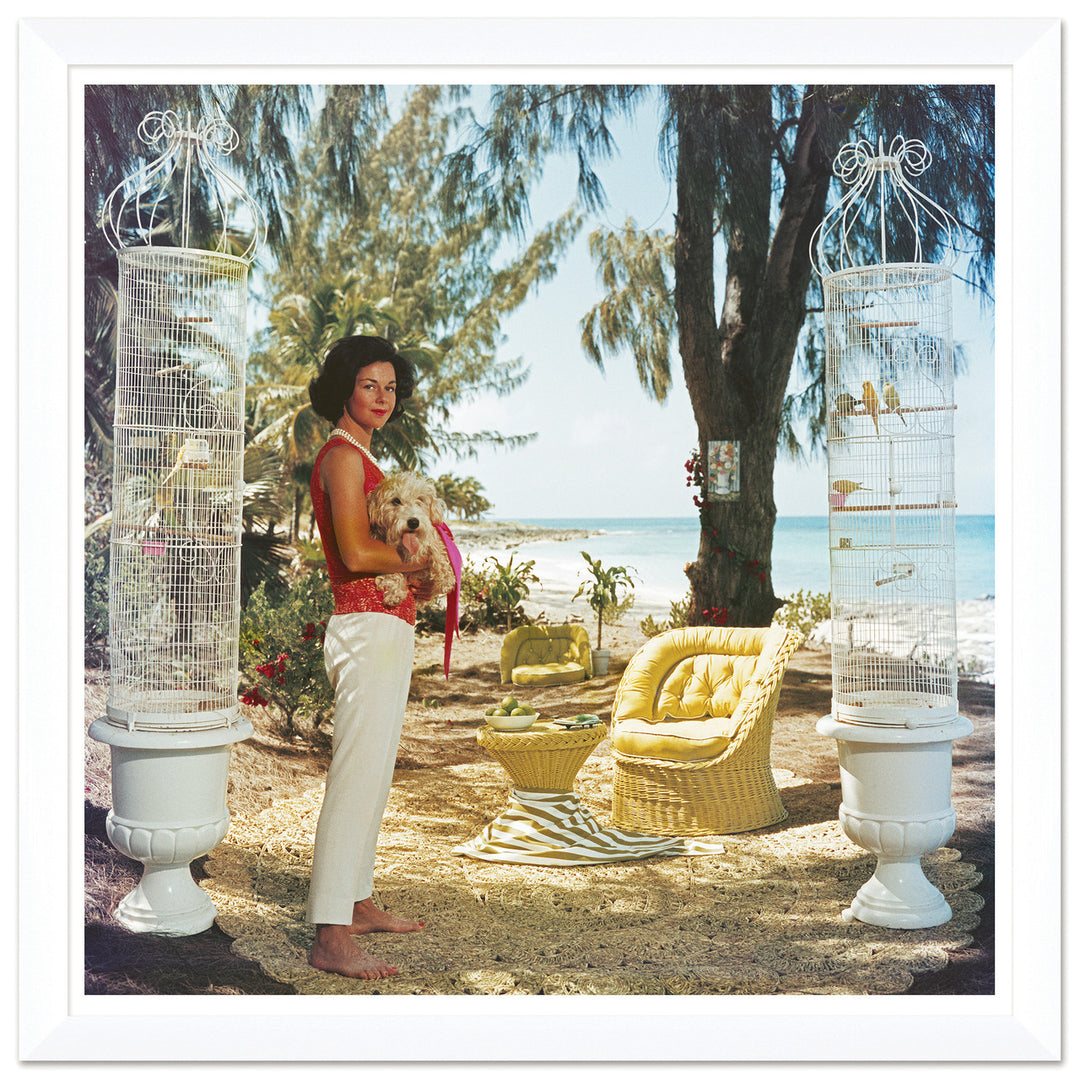 Getty Images, "Gloria Schiff," Slim Aarons, January 1, 1963 by Soicher Marin