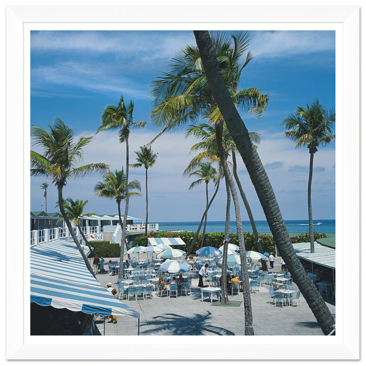 Getty Images, "Florida Palms," Slim Aarons, April 1, 1978 by Soicher Marin
