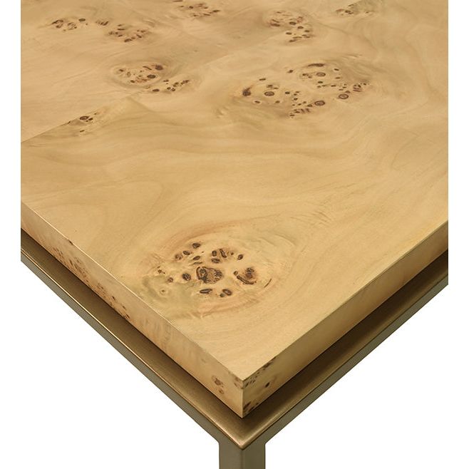 Coffee Tables Antique Brass Frame Coffee Table With Thick Top In Burl Wood
