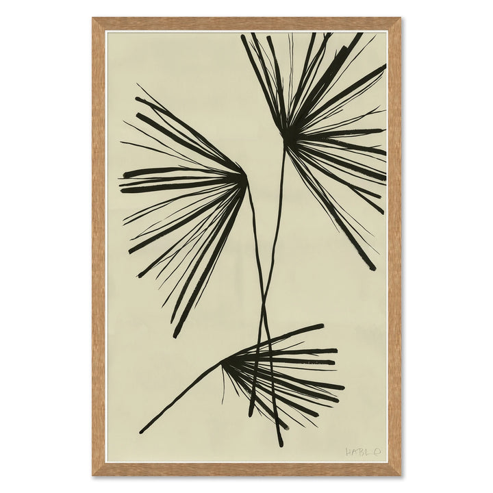 Palm by Soicher Marin