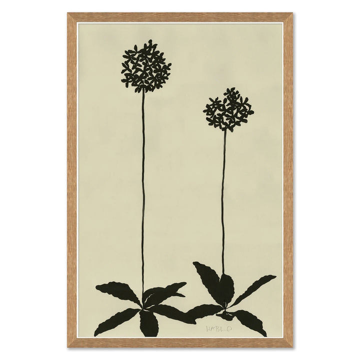 Allium by Soicher Marin