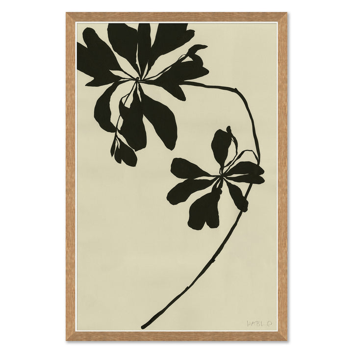 Mediterranean Leaf by Soicher Marin