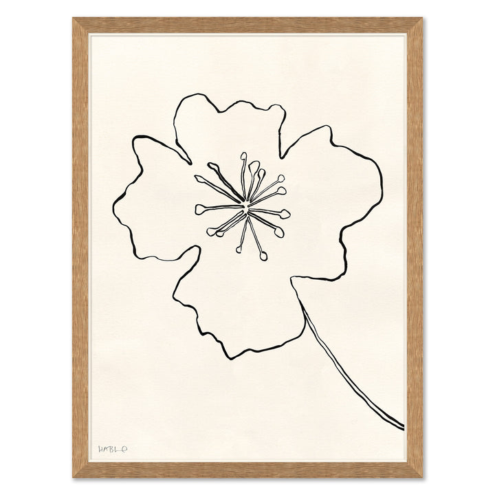 Line Drawing I by Soicher Marin