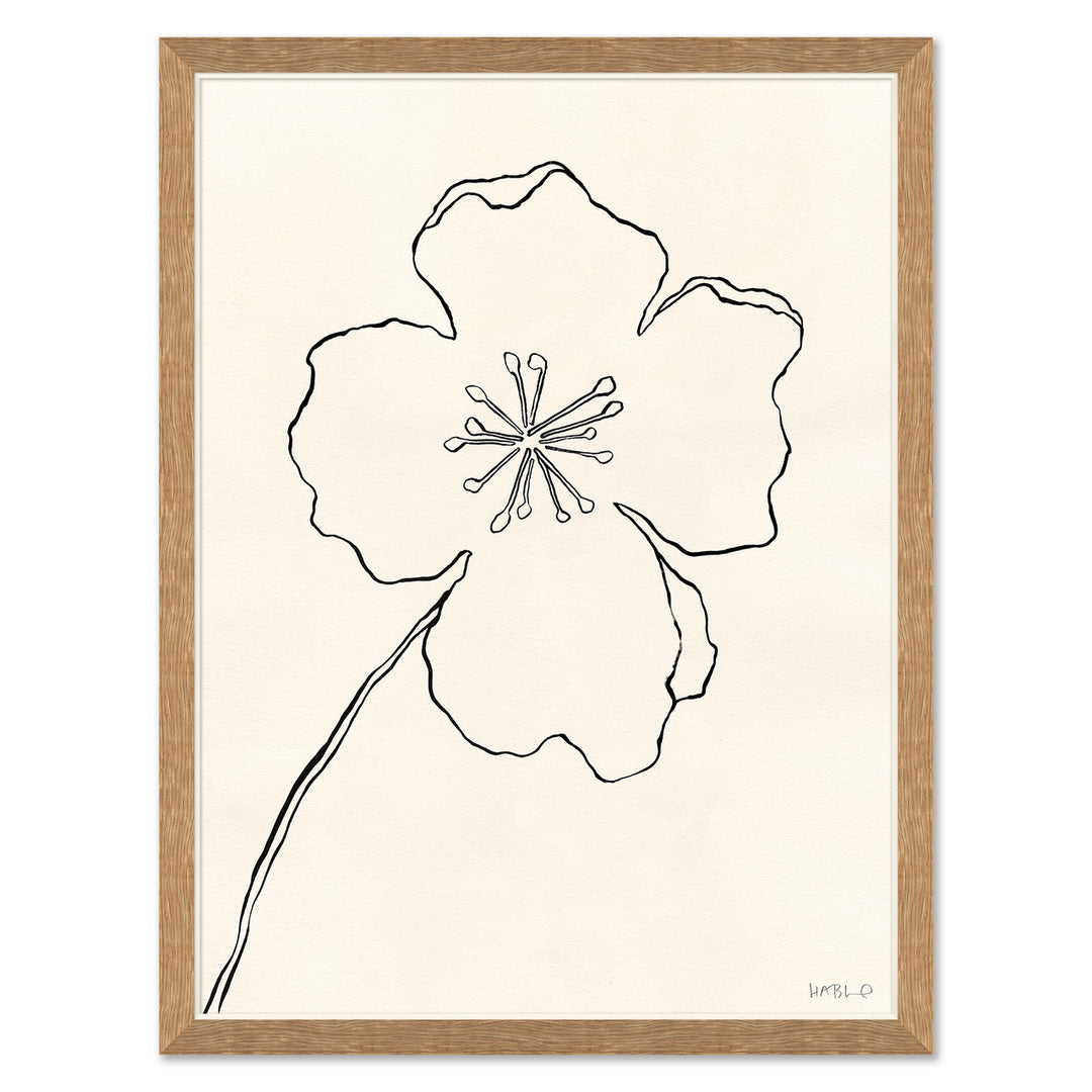 Line Drawing II by Soicher Marin