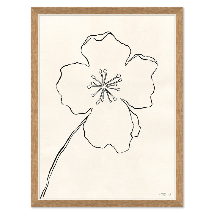 Line Drawing II by Soicher Marin