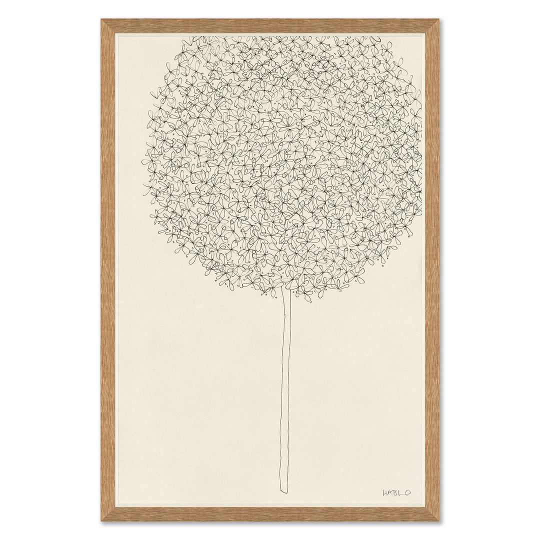 Allium 1 by Soicher Marin